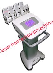 중국 찬 레이저 치료 다이오드 Lipo 레이저 기계를 체중을 줄이기 협력 업체